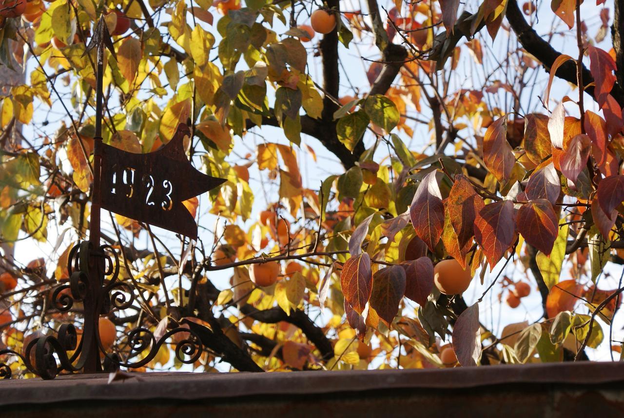 B&B Nella Terra Di Mezzo Caporiacco 外观 照片